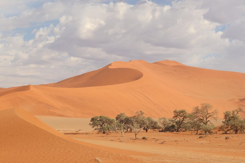 Dune