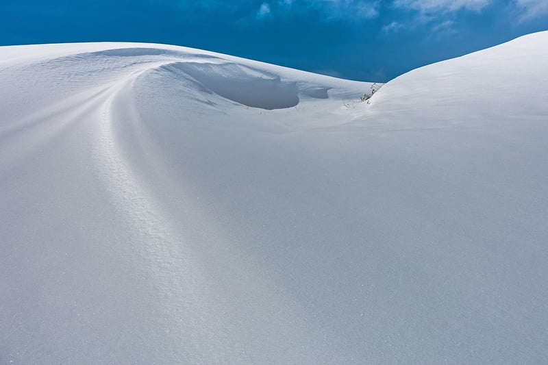 Snow Crash
